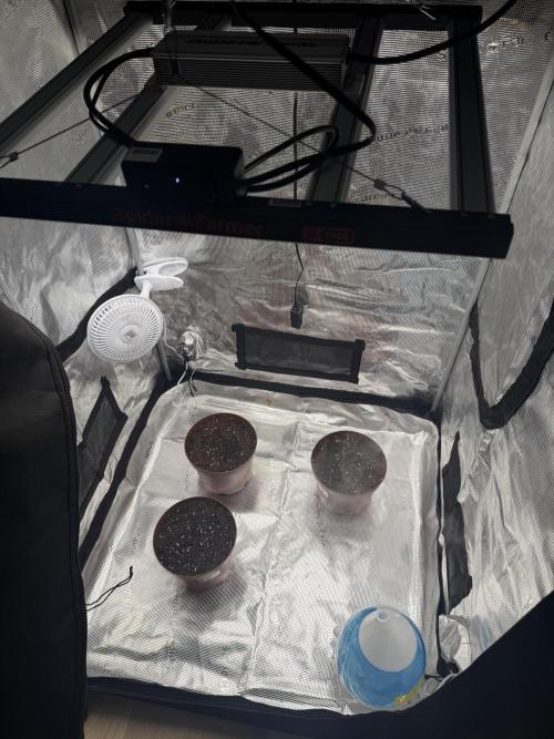 My first indoor grow. Week 0 - 22.2.2026 12:23