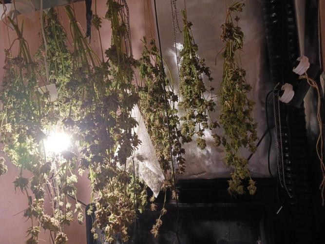 Orange cake. Week 19
