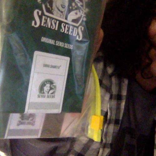 Shiva Shanti II. Week 1