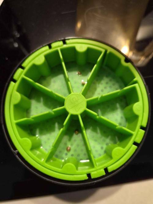 Milkyway F1 + Critical Automatic. Week 0 - Can 3