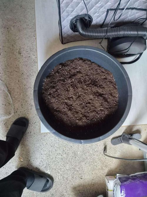 Milkyway F1 + Critical Automatic. Week 0 - Mortar Tub