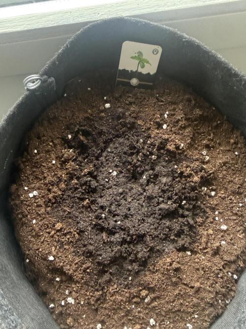 Pablo escobar. Week 0 -  semaine 1