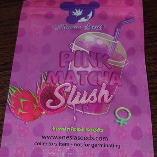 Pink Matcha Slush. Week 0