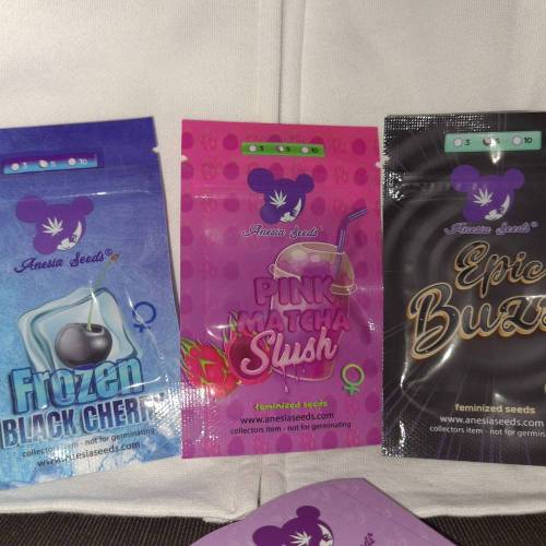 Pink Matcha Slush. Week 0