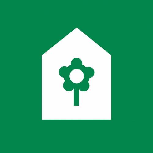 Pink Matcha Slush. Week 0