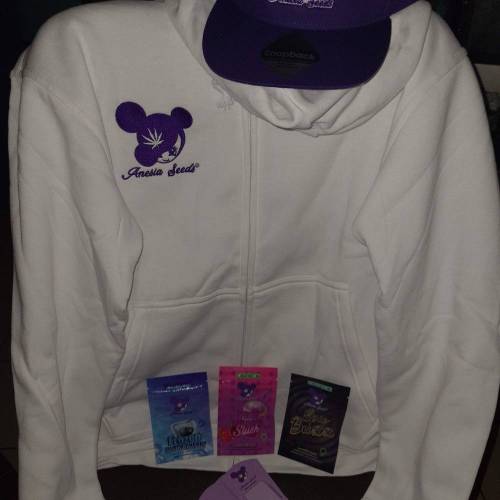 Auto Blackberry Moonrocks . Week 1