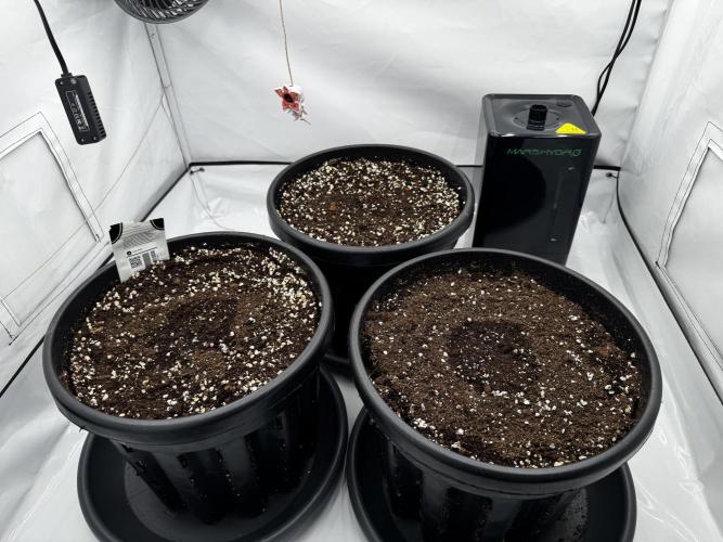 Mission FastBuds. Week 0