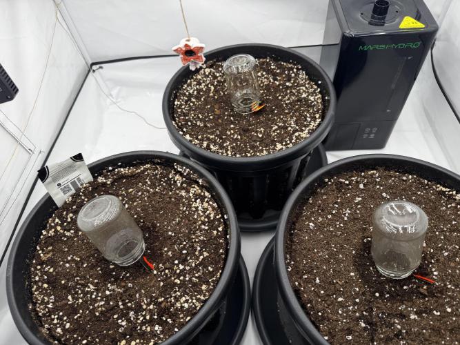 Mission FastBuds. Week 1