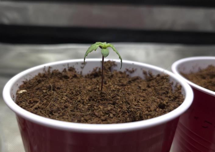 Next Generation Seeds First Contact. Week 1