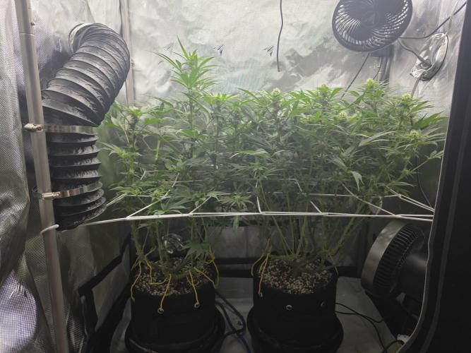 Next Generation Seeds First Contact. Week 14