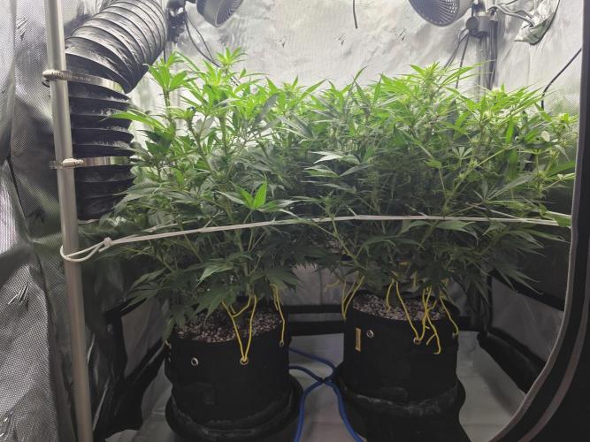 Next Generation Seeds First Contact. Week 14