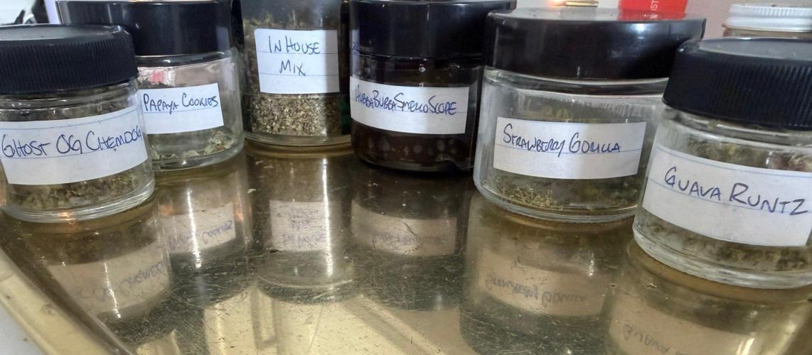 El Jardinarino. Week 10 - samples