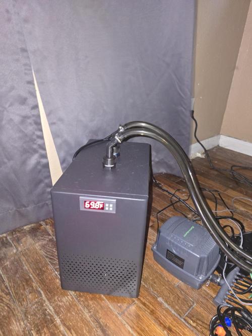 First time with Hydro. Week 4 - 45 gallon 1/10 hp water chiller