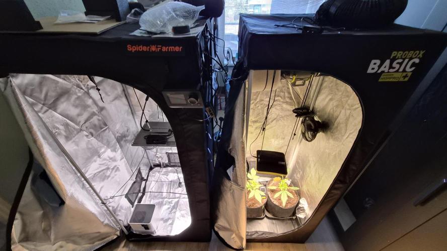 FastBuds grow. Week 3 - New equipment