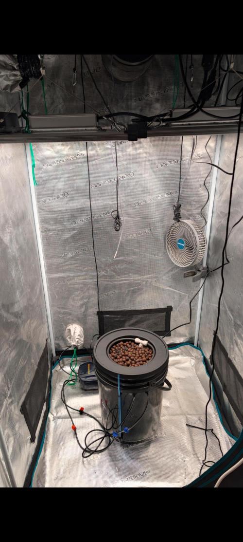 #First try DWC. Week 0