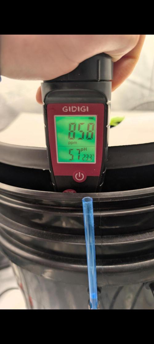 #First try DWC. Week 1