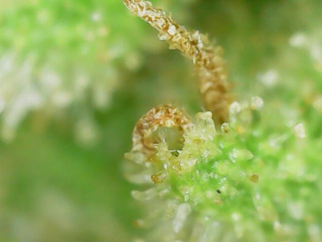 Northern Lights Auto CO outdoor 2026. Week 16
