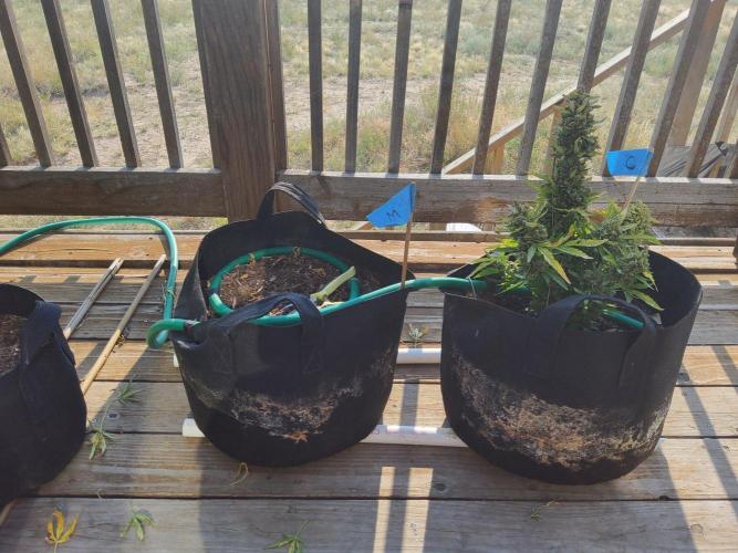 Northern Lights Auto CO outdoor 2026. Week 17