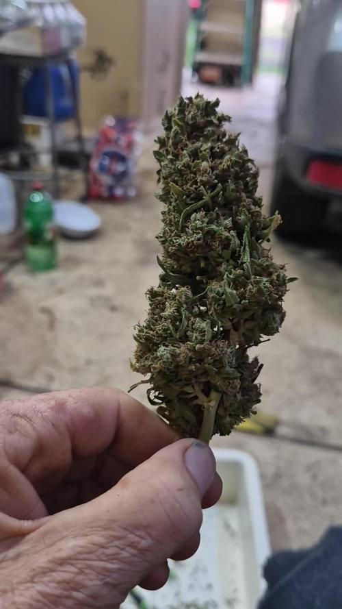Northern Lights Auto CO outdoor 2026