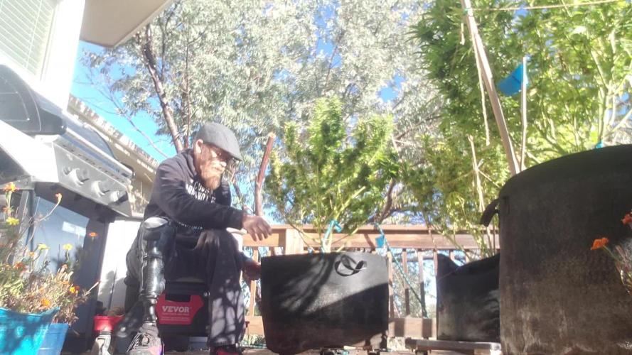 Durban Poison CO grow 2026