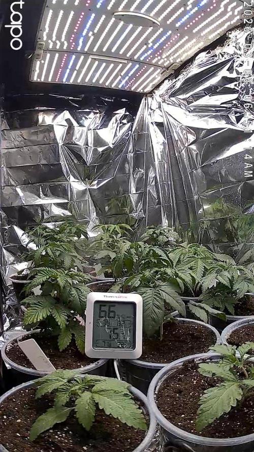 Mixed Organic Photo Outdoor. Week 5