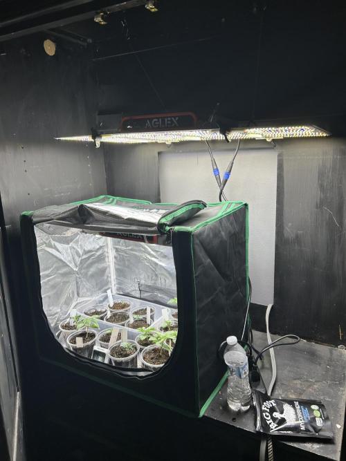 Mixed Organic Photo Outdoor. Week 2