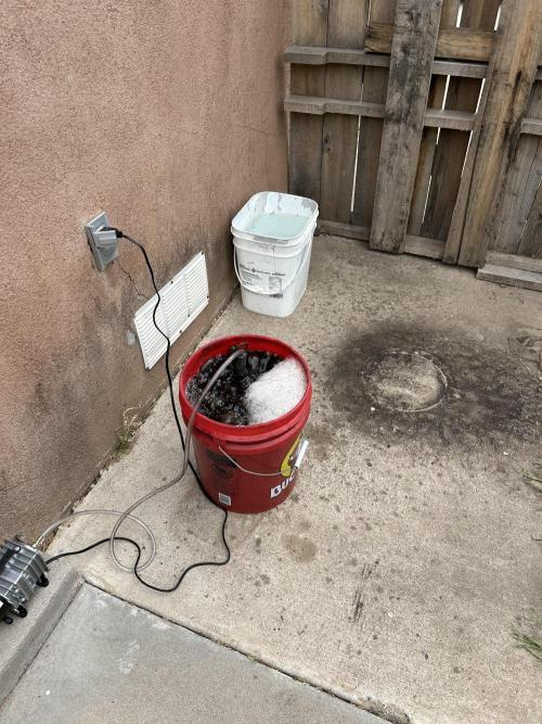 Mixed Organic Photo Outdoor. Week 8 - April 11 microbiology steadily brewing 24/7 spoil the soil