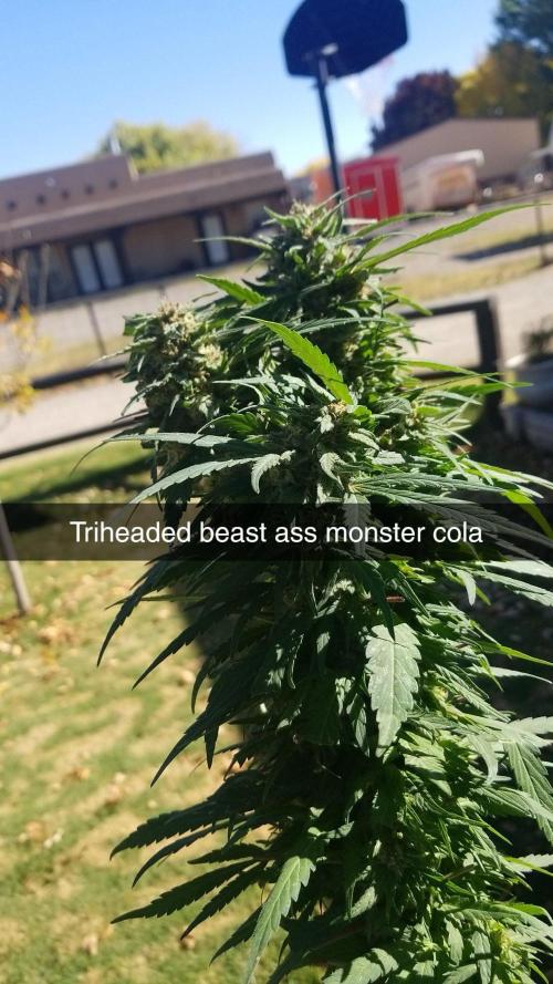 Outdoor 2023. Week 24