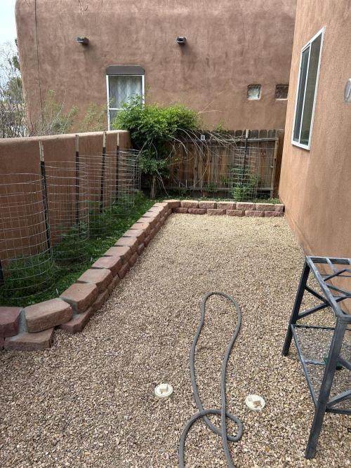 Mixed Organic Photo Outdoor. Week 10