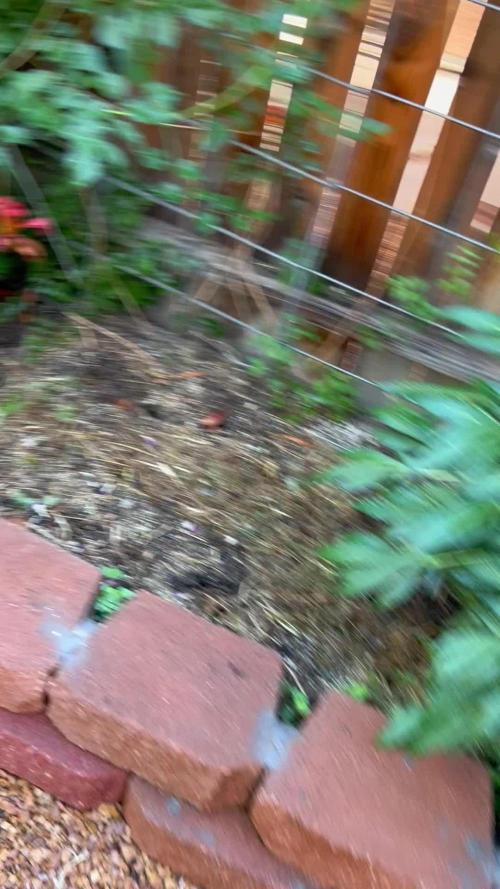 Mixed Organic Photo Outdoor