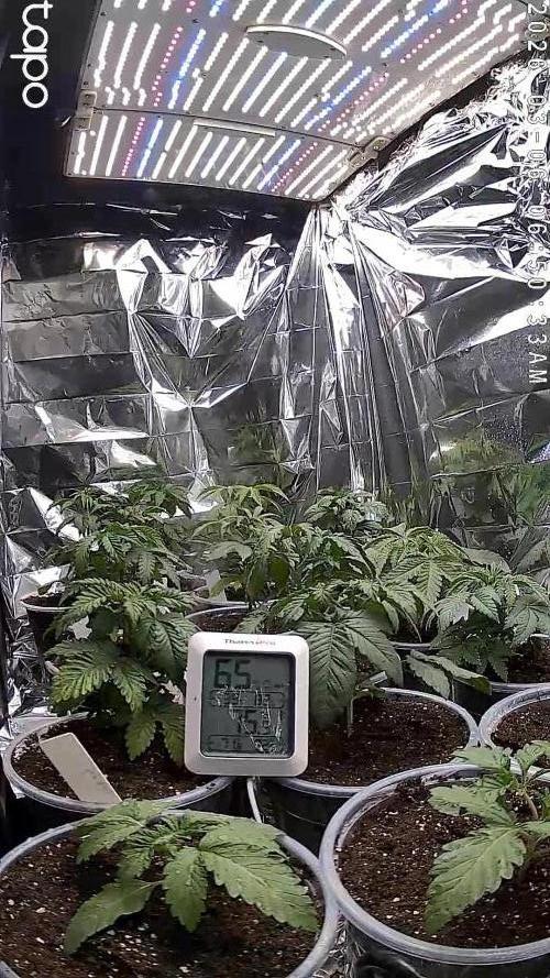 Mixed Organic Photo Outdoor. Week 5