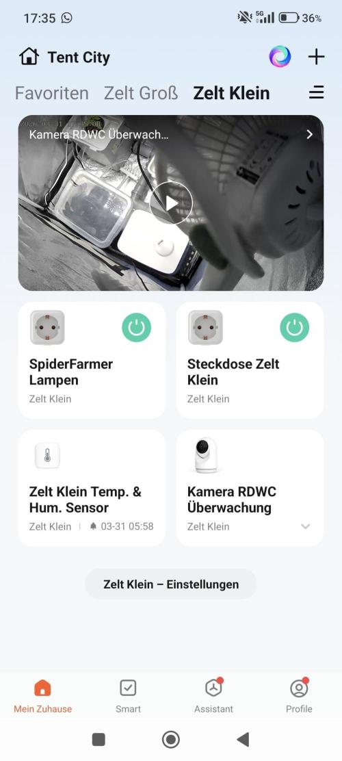 Persian Pie Green House Seeds RDWC. Week 2 - Automation game strong ⚡
Monitoring the whole setup from my phone 📊