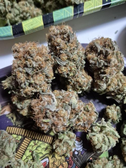 Orange Bud. Week 10