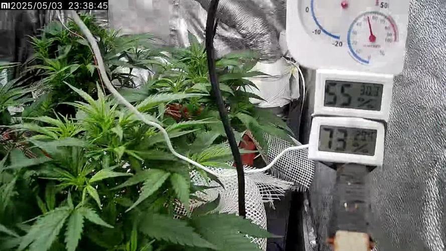 Critical