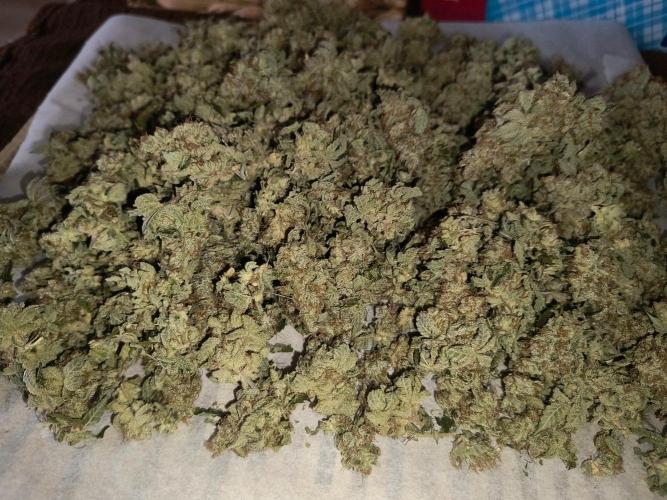 😱starfireonfire. Week 10