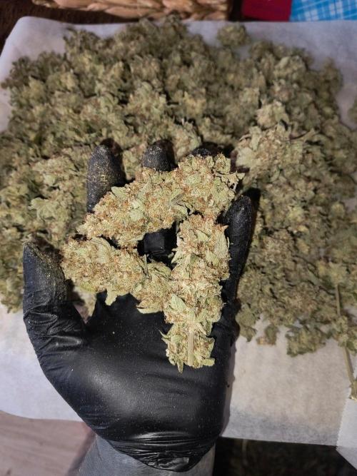 😱starfireonfire. Week 10