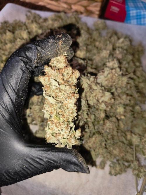 😱starfireonfire. Week 10