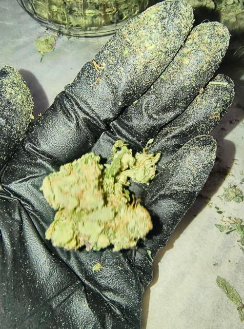 😱starfireonfire. Week 10