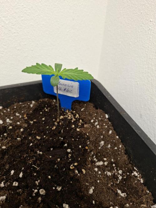 Spring26. Week 2