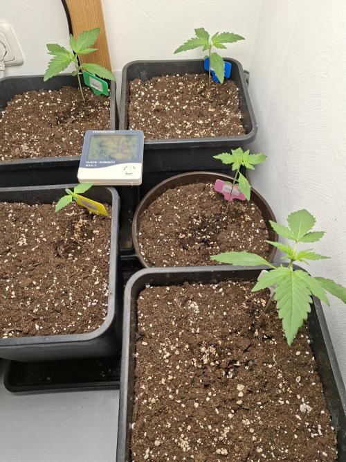 Spring26. Week 3