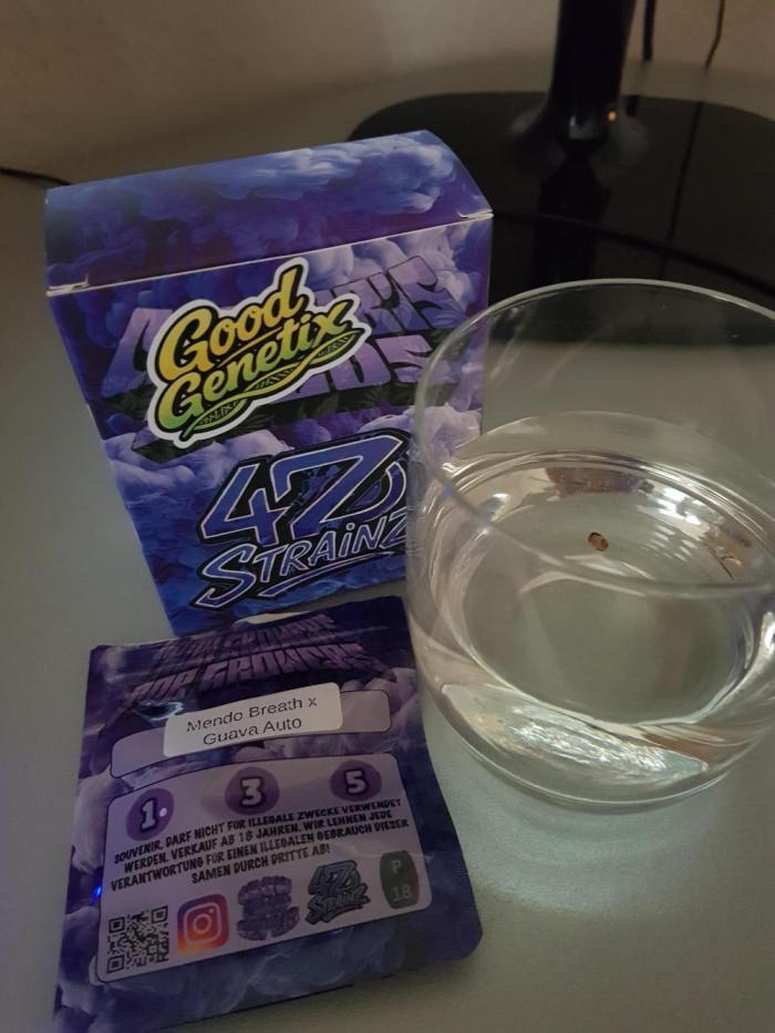 G Breath Auto. Week 0 - Erst gehst du baden bevor du im Dreck spielen darfst.