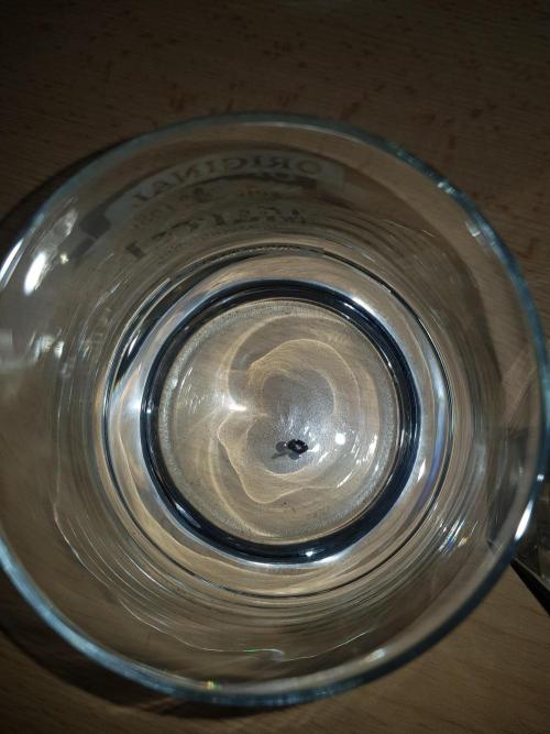 Pineapple Express Auto - Breeder Test. Week 0 - Tag 3 Pineapple Express Auto von Seed Supplier