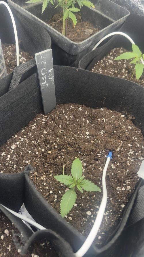 Spring 2026. Week 1