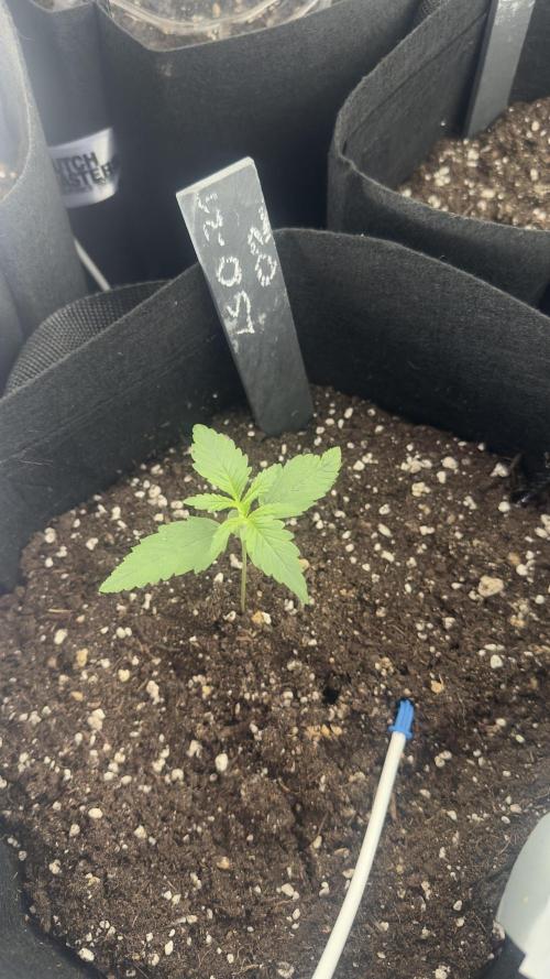 Spring 2026. Week 1