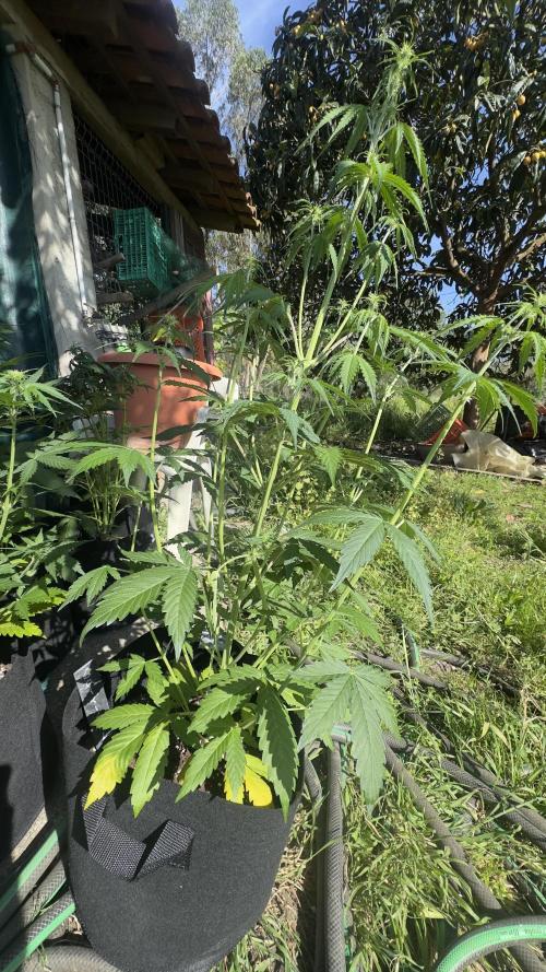 Spring 2026. Week 4