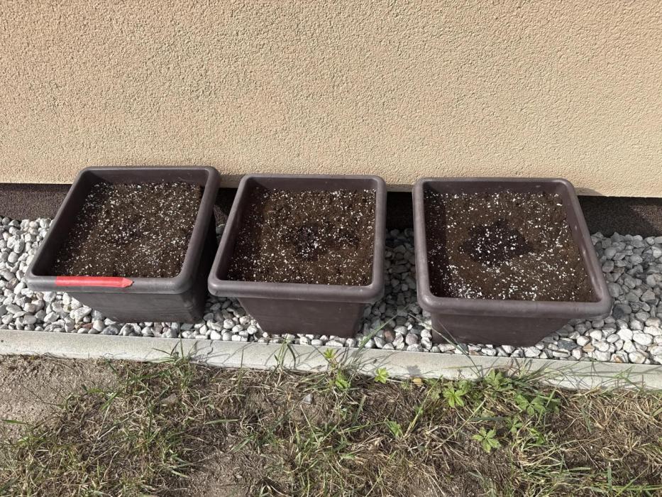 2. Auto outdoor. Week 0