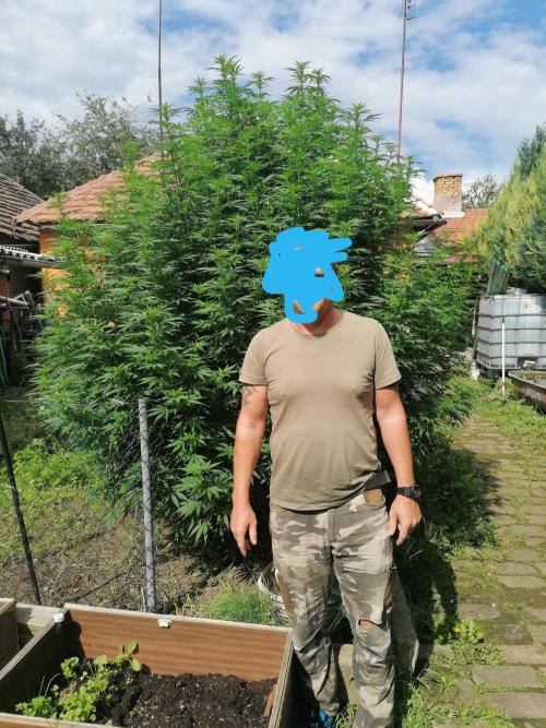 Outdoor s Krkovičkou. Week 16