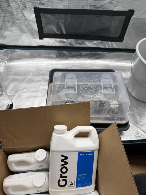 1st Coco x AutoPot. Week 0 - -