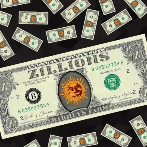 Zillions. Week 6