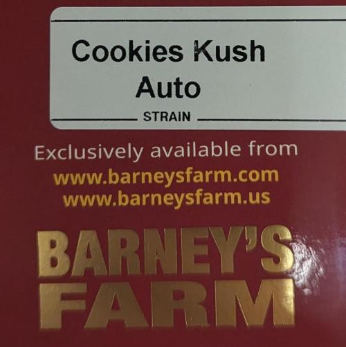 Barney's Farm Cookies Kush Auto. Week 0